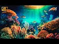 The Ocean 4K Ultra Full HD Beauty On The Seabed Under Water The Planet