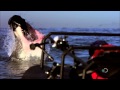 Discovery Channel Shark Week Show Me Your Teeth Commercial Song Teeth by Lady Gaga.