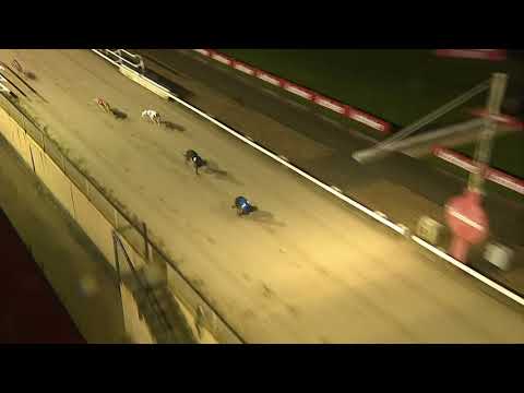 Slippy Maggie - Carlsberg Boxing Day Marathon - Heat 1