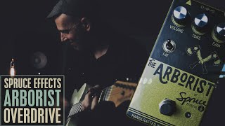 Video thumbnail for Demos in the Dark // Spruce Effects The Arborist // Pedal Demo by Demos In The Dark
