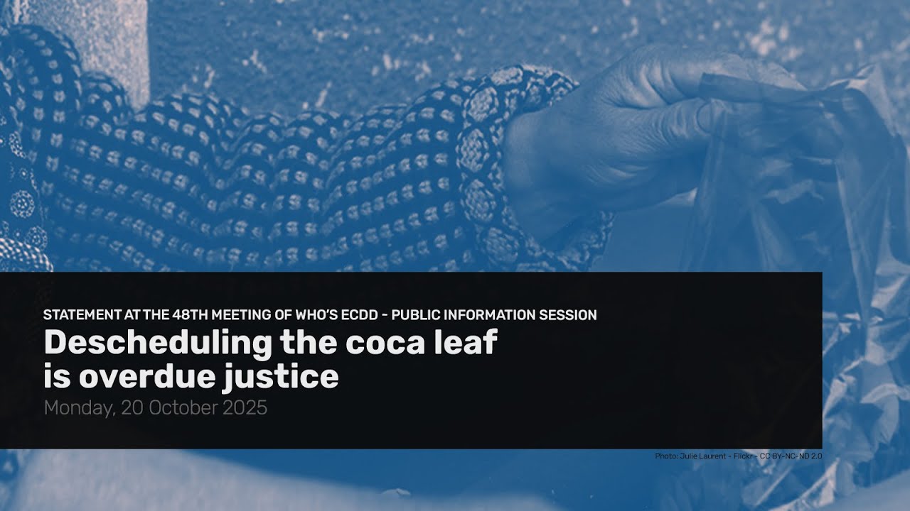 Descheduling the coca leaf is overdue justice - IDPC statement to the 48th meeting of WHO's ECDD