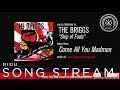 The Briggs - Ship of Fools (Official Audio)
