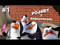 POJ BY Z MADAGASKARU 1 Niewyżyte Pingwiny Oraz Lokalizator Gorących Mamusiek Kowalskiego