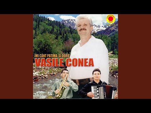 Am iubit si eu odata