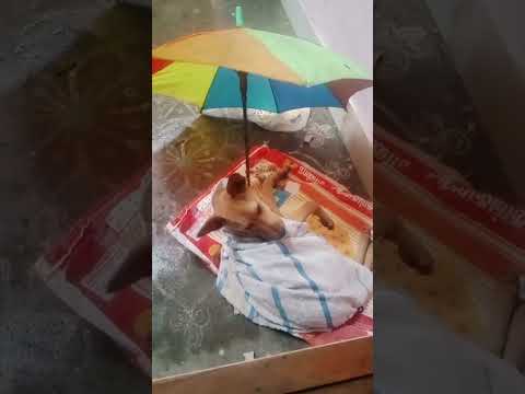 enga vitu street dog//#shorts //#trending //#naseena