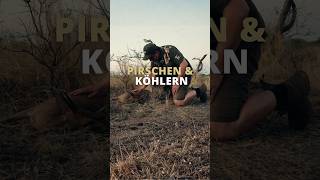 Pirschen und Köhlern - Namibia 🇳🇦 Teil 2 von @bergnbeef⁩