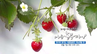 [나는농부다 251회 예고] 정이와 봉이는 새콤달콤한 귀농생활 중