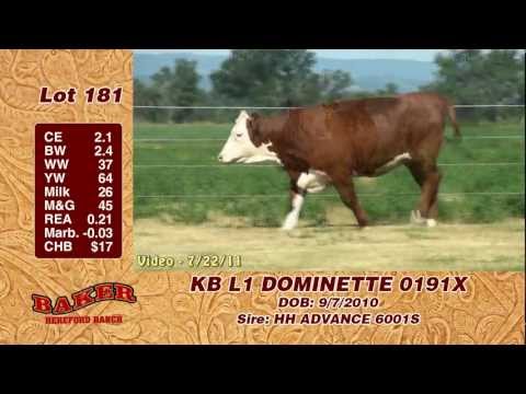 Lot 181: KB L1 DOMINETTE 0191X