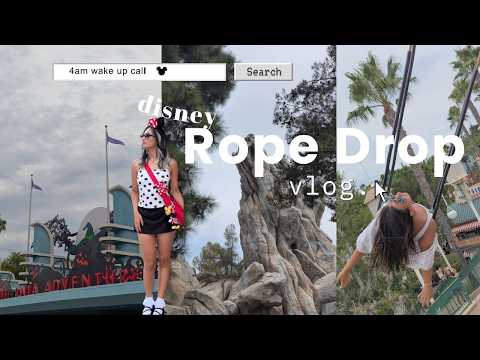 I woke up at 4am for this ᶻ 𝗓 𐰁 .ᐟ