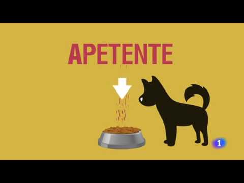 14-Fabricando Made in Spain - Croquetas de perro