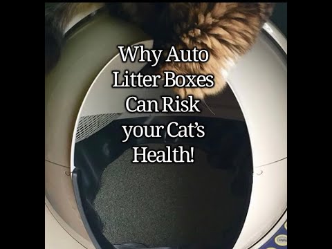 AUTOMATIC LITTER BOXES CAN BE HARMFUL TO YOUR CAT’S HEALTH!