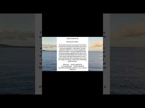 Sahih al-Bukhari 29 #Allah #Muhammad #Islam #Muslim #Quran #shorts #shortvideo #viral #trending