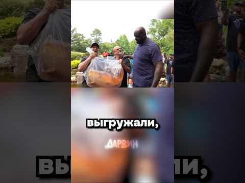 Шакой и Шакил О'Нилы