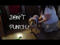 DON'T PUNCH!! (Mar.8-Mar.14) 