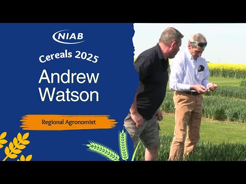 Cereals 2025: What to expect from the Niab agronomy plots