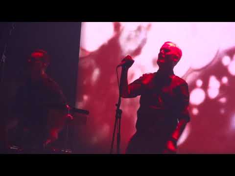 Die weisse Rose live at the Baltic Queen - Immer weiter und weiter