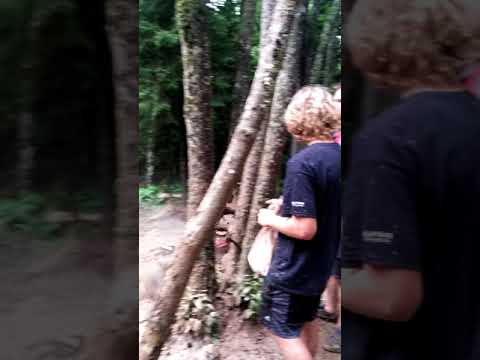 2018 GNCC Round 9 Snowshoe Wv "Howard's Hole"