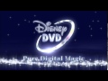 Disney DVD Logo Widescreen October 2001 November 2007