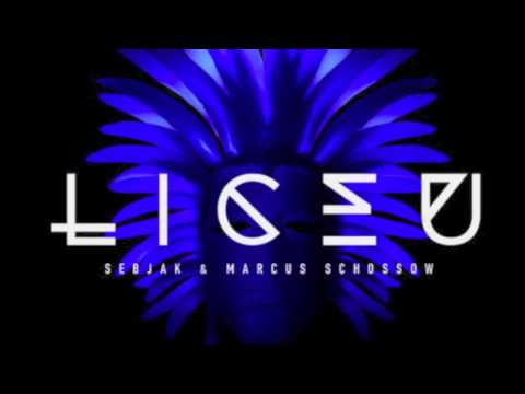 Sebjak & Marcus Schossow vs. Florence + The Machine - Liceu Vs. Spectrum (Zeiner Edit)