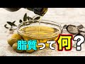 摂るべき脂肪と今すぐやめたい脂肪の種類【筋トレ】