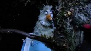 Raaf zingt 'Hoor de wind waait door de bomen'.