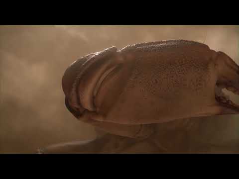 CGI Animated Short Film HD   Chateau de Sable Sand Castle Short Film  by ESMA