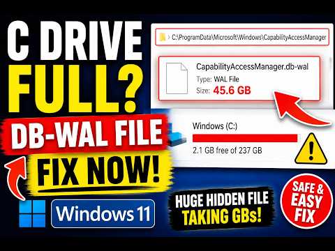 CapabilityAccessManager db-wal Windows 11 C Drive Full