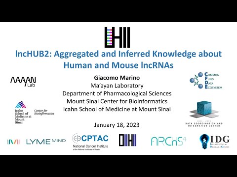 lncHUB2: Aggregated and Inferred Knowledge about Human and Mouse lncRNAs