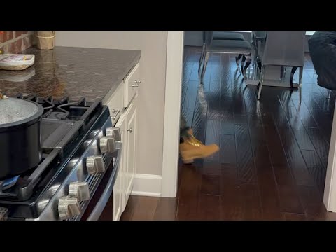 When She Try To Make You Eat Spaghettis