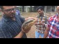 LIVE TORTOISE Heavy Weight Tortoise New Van Bhawan Construction Site Posh Area Char Imli Bhopal