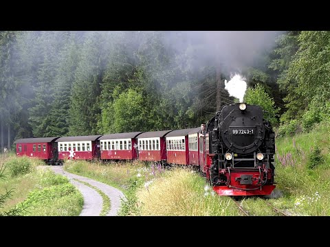 Muß es immer die Brockenbahn sein? Nein! - Die Harzquerbahn ist auch schön.