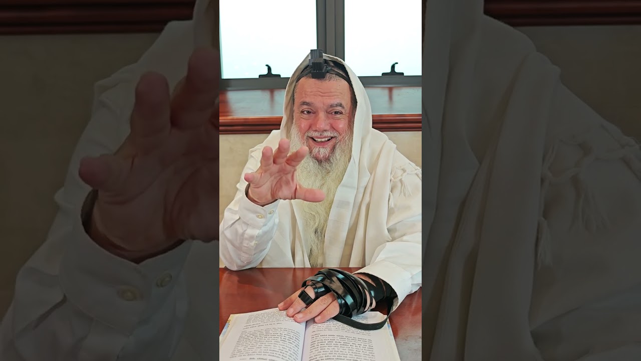 שער הביטחון | סבב שני - פרק 81