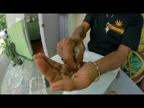 Tomawok - Weedamuffin [Clip Officiel]