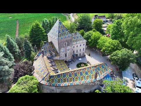 France • Burgundy Grand Cru's 2023 - 4K Relaxing Journey Through The Best Vineyards in the World