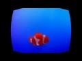 Finding Nemo Land Down Under Remix