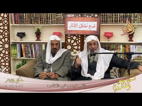  شرح مشكل الاثار (113) الترخيص في الكذب  تاريخ  26-01-2022 
