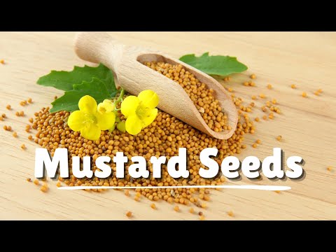 Unlocking the Potential Power of Mustard Seeds #food#mustardseeds