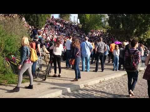 Bearpit Karaoke in Mauerpark 🇩🇪