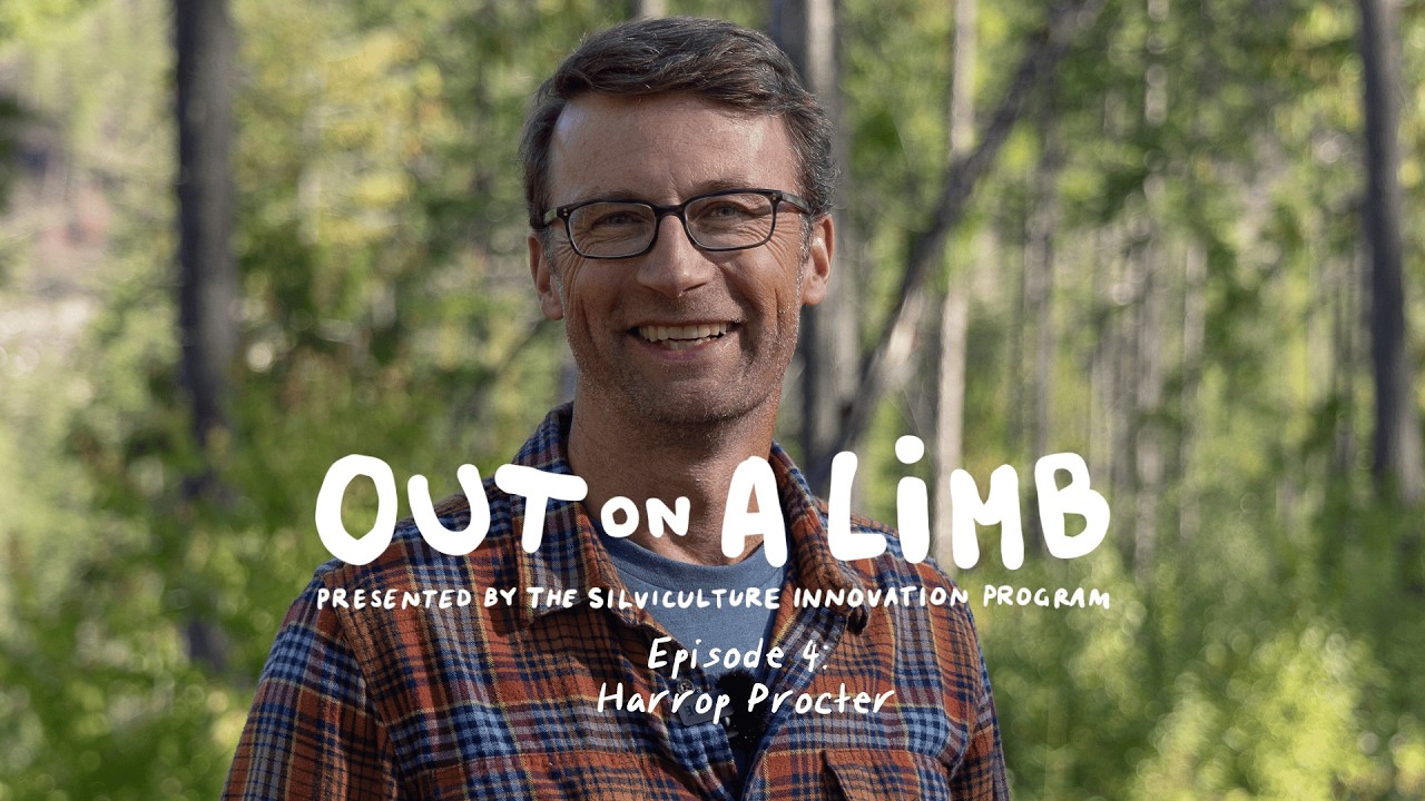 Out On A Limb - Episode 4: Harrop-Proctor Community Forest