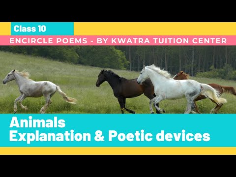 What are the poetic devices used in the poem animals? | EduRev Class 10  Question