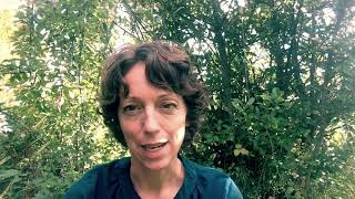 Exploration through the body of personal & global Issues