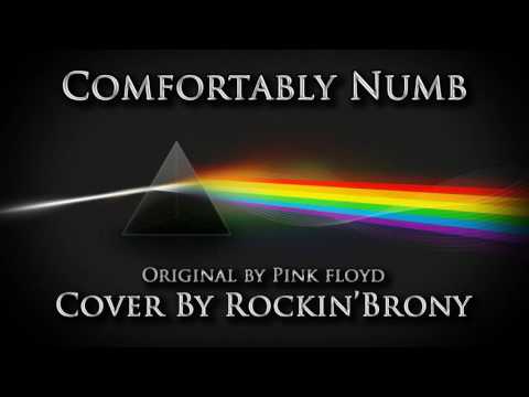 Comfortably Numb (Cover) - Rockin'Brony