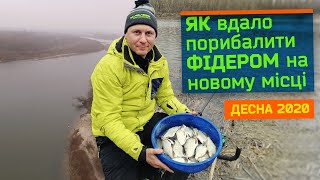 Ловля ляща на десні фідером навесні
