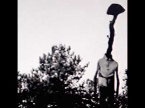 Fungus in the air (video reuploaded)