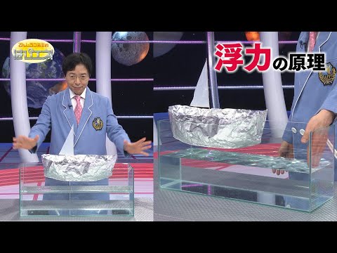 パラヒヤ水中について詳しく解説