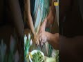 Janne Anjane Ullu Webseries Charamshukh Beauty Pathan