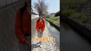 参政党 多摩市政改革委員『藤井美里』〝多摩市の美しい里を次世代へ〟#藤井美里 #参政党 #多摩市