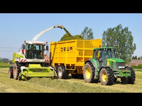 Loonwerken Baeke-Willems - Claas Jaguar 890 - gras hakselen
