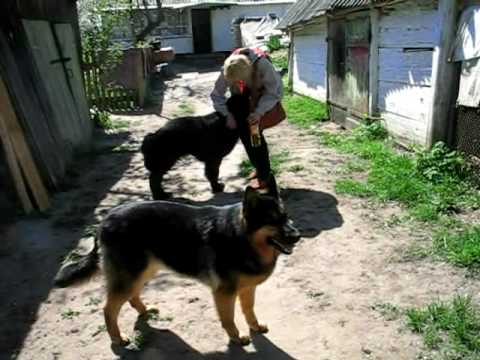 Мурат (32 день после операции)