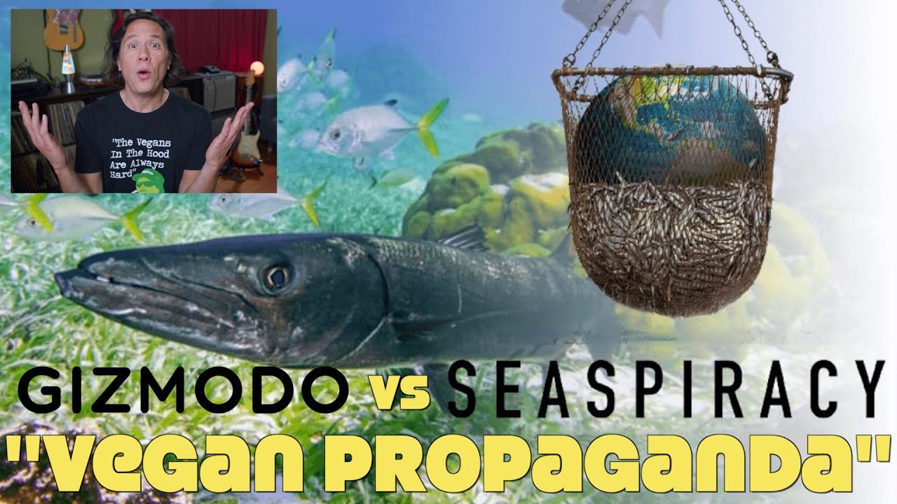 Fishless Oceans By 2048? Fact Checking Seaspiracy (& Gizmodo's Debunk)